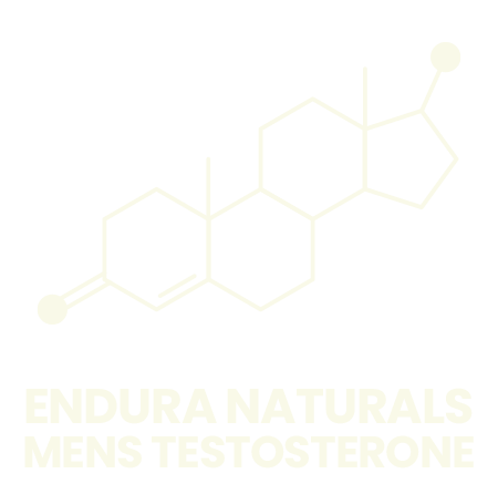 Endura Naturals Mens Testosterone